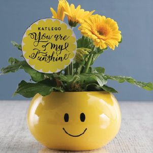 Members SAVE 10% at NetFlorist! Product Image